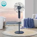H7dcf521ebfe645efb235235eda81cc80x.webp